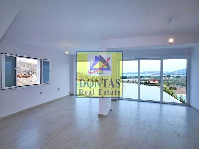 Gallery image 8