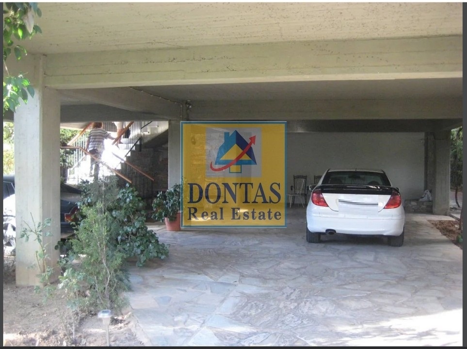 Gallery image 19