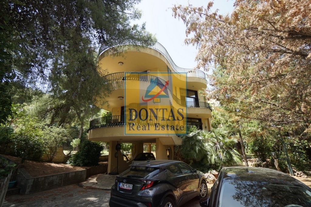 Gallery image 25