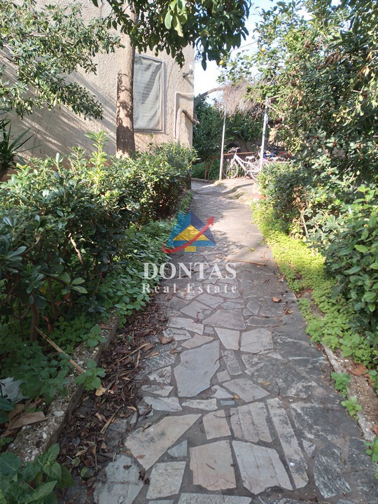 Gallery image 17