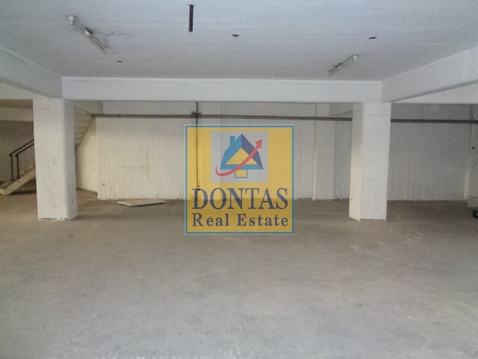 Gallery image 13