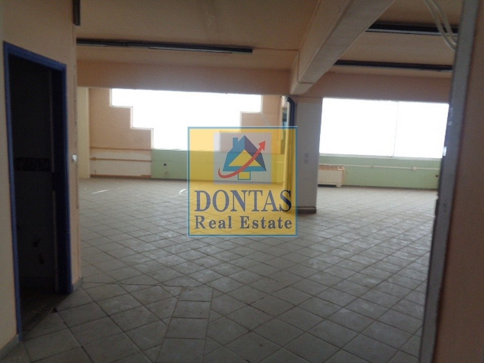 Gallery image 16
