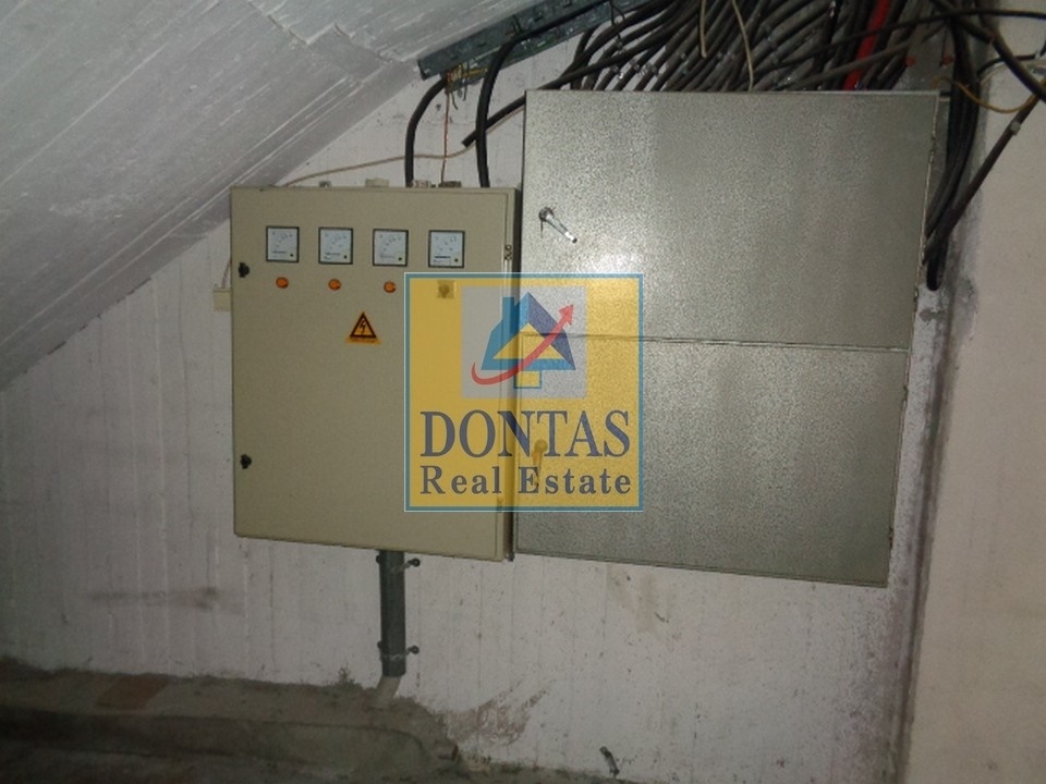 Gallery image 12