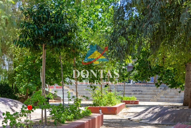 Gallery image 21