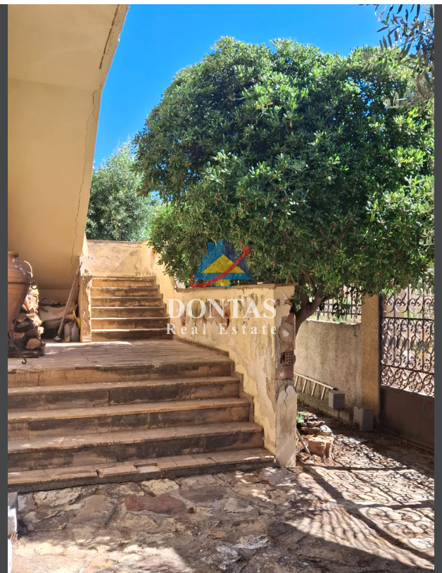 Gallery image 17