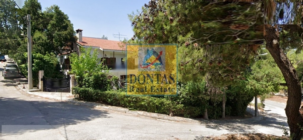 Gallery image 25
