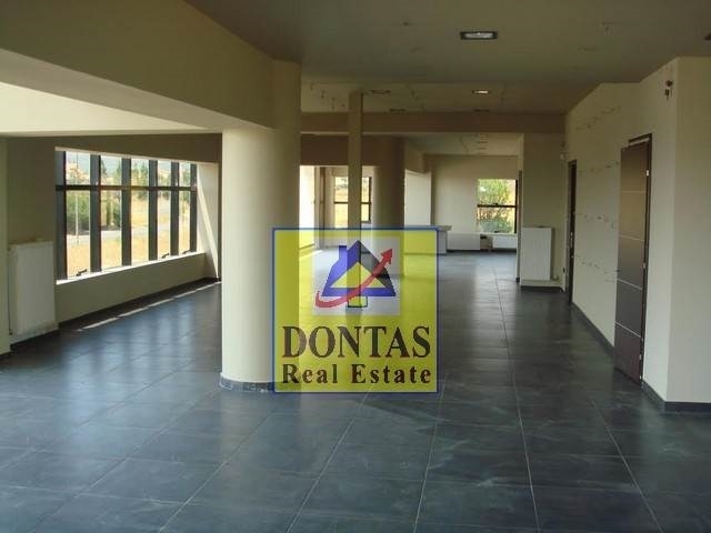 Gallery image 2