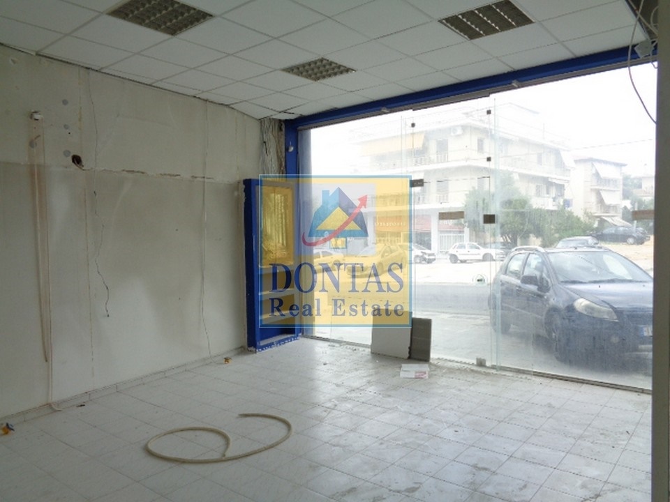 Gallery image 2