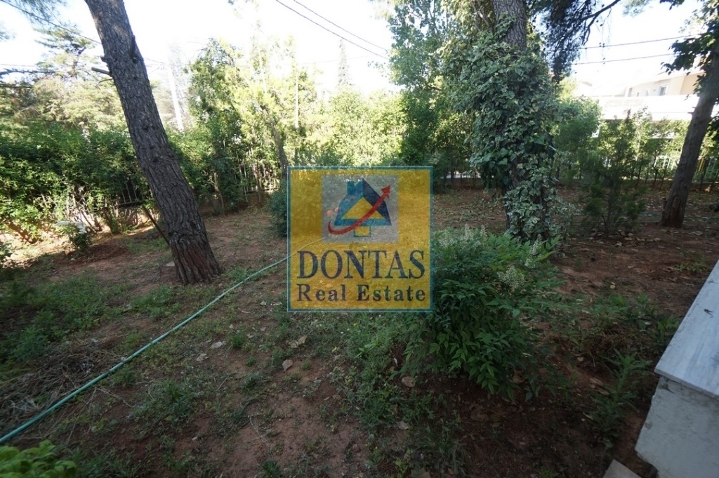 Gallery image 18