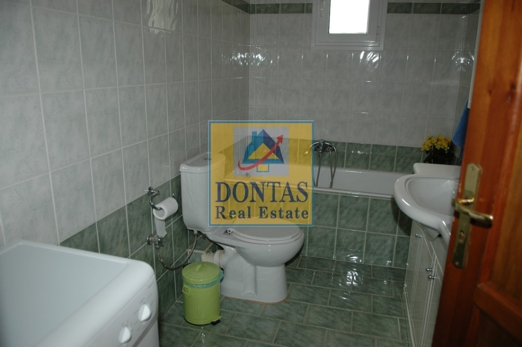 Gallery image 10