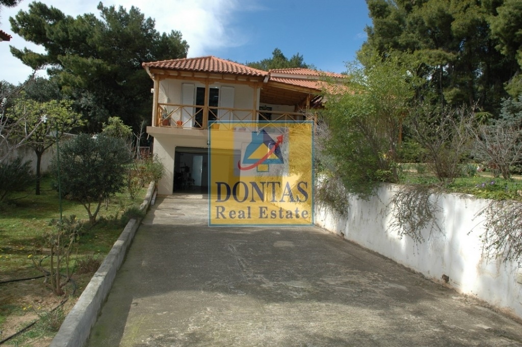 Gallery image 13