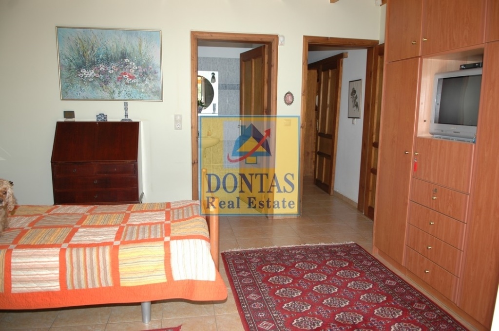 Gallery image 17