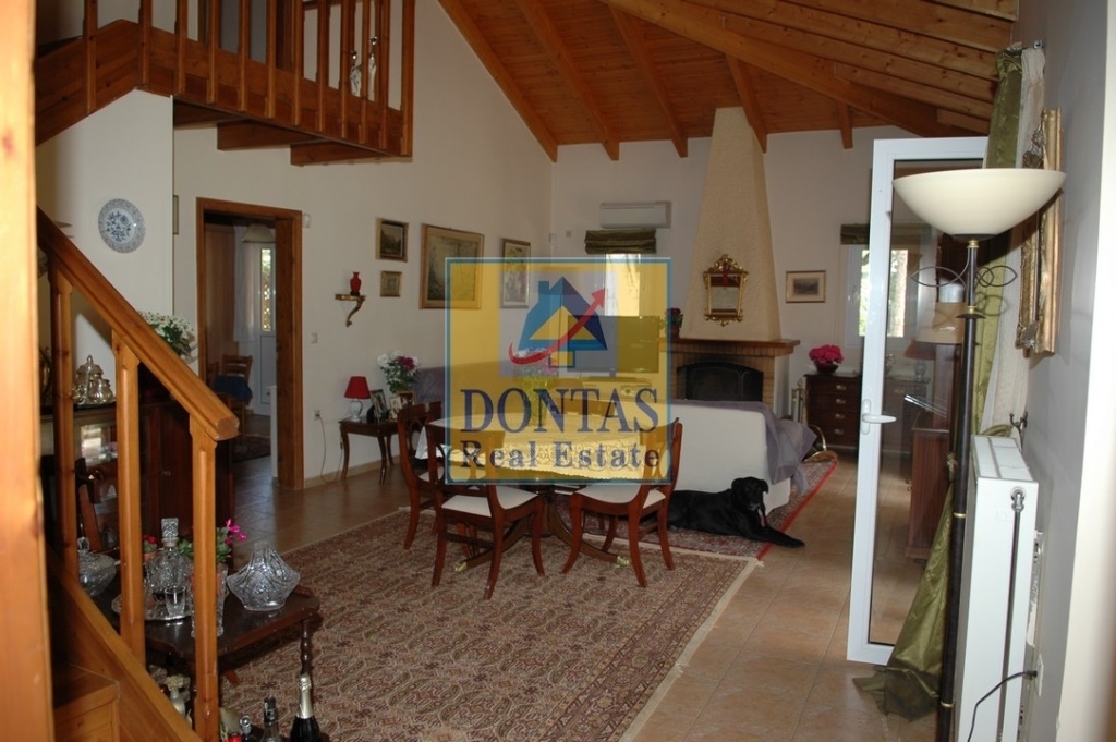 Gallery image 14
