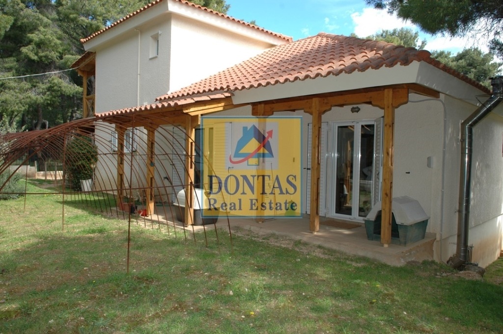 Gallery image 25
