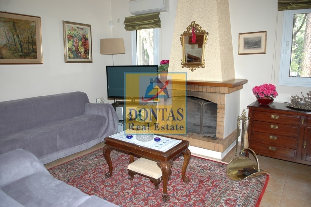 Gallery image 15