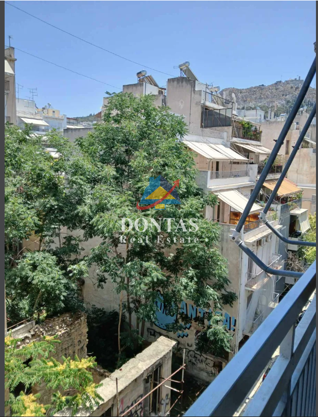 Gallery image 17
