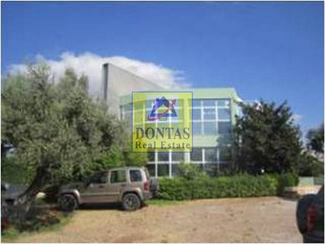 Gallery image 9