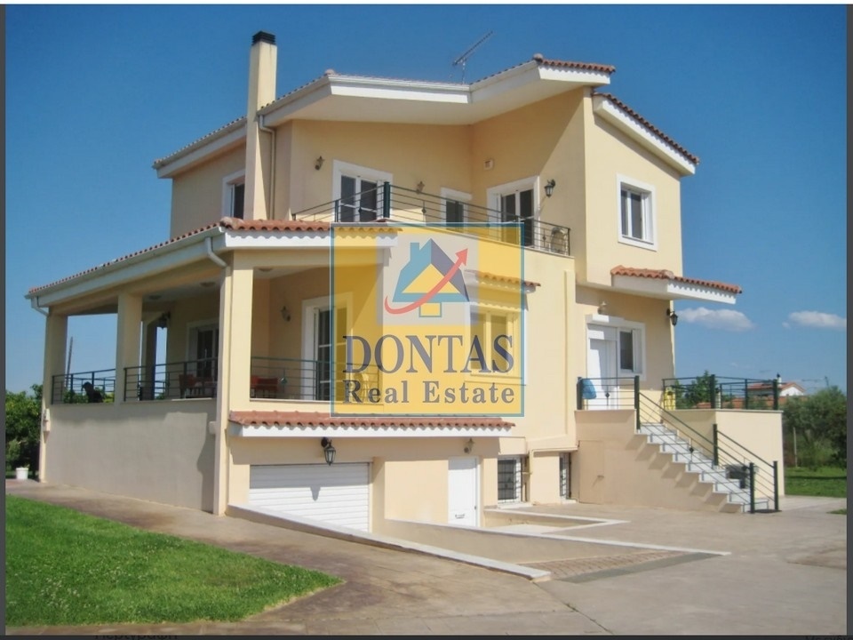 Gallery image 21
