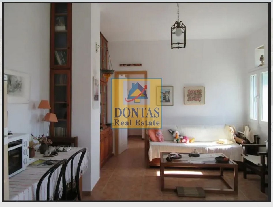 Gallery image 13