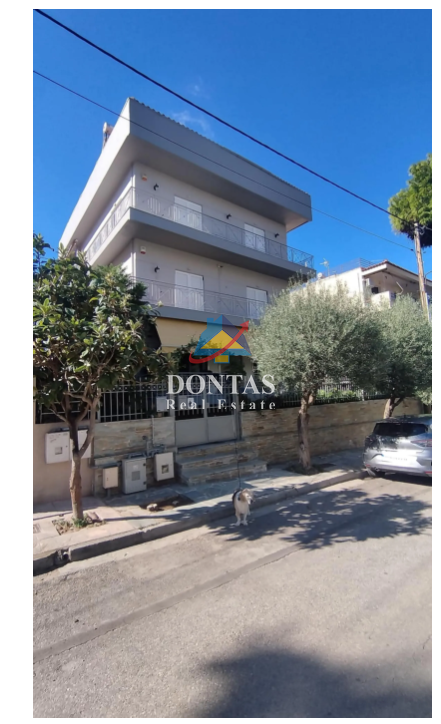 Gallery image 22