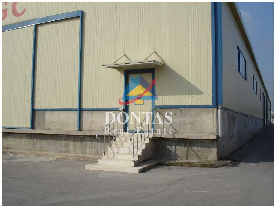 Gallery image 13