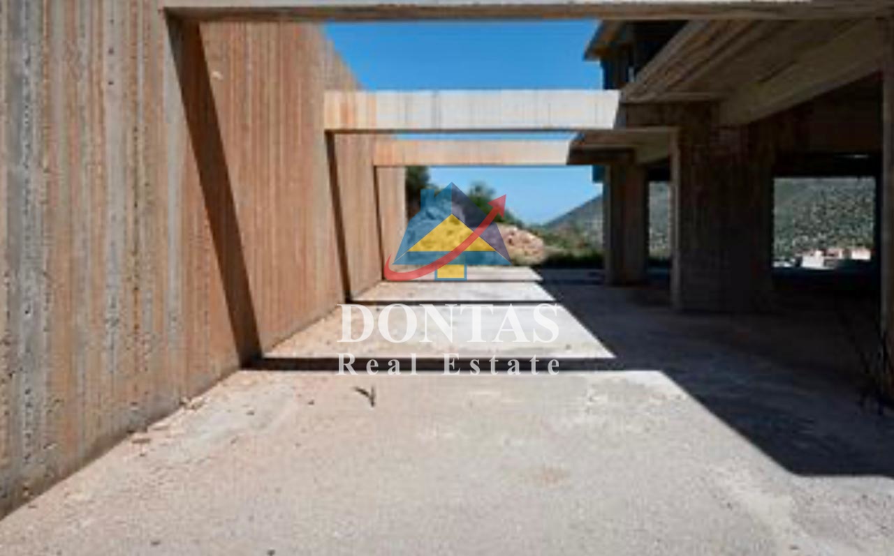 Gallery image 9