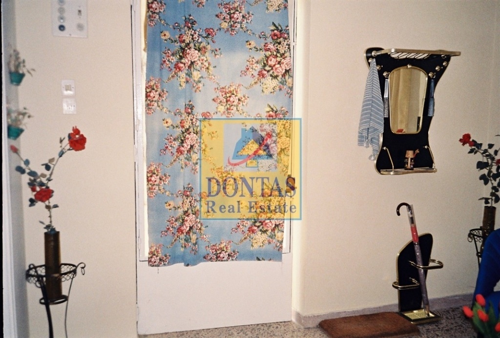 Gallery image 16