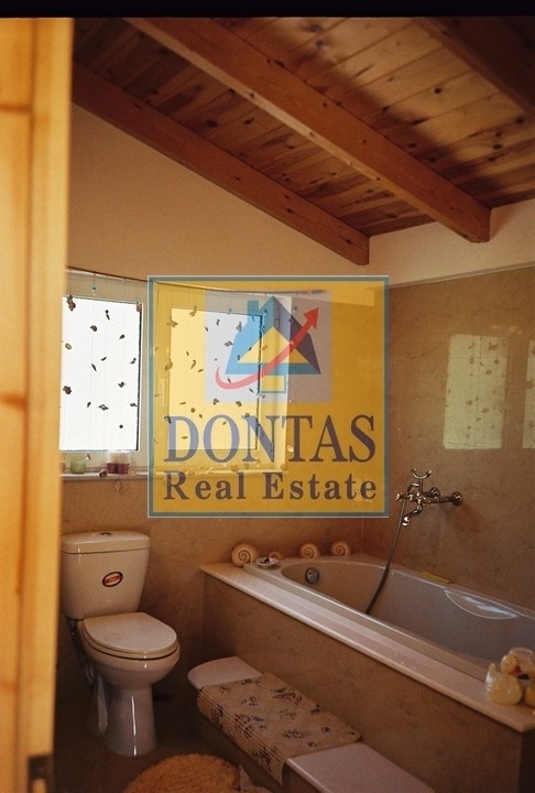 Gallery image 10