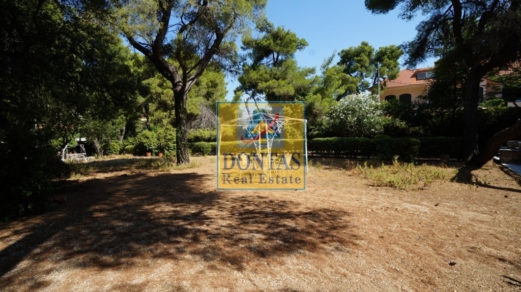 Gallery image 8