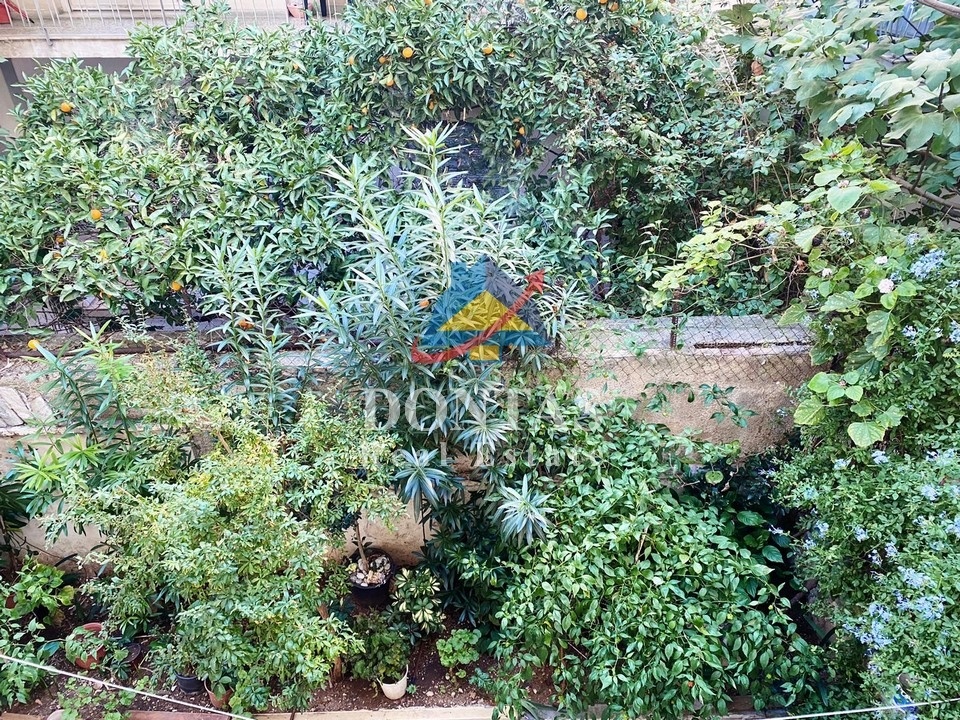 Gallery image 19