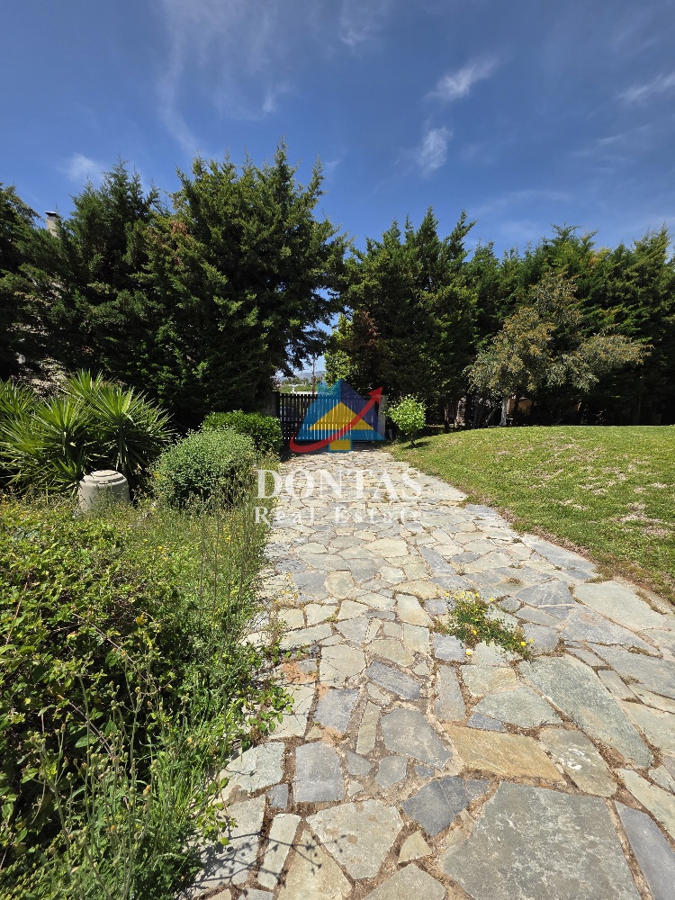 Gallery image 15