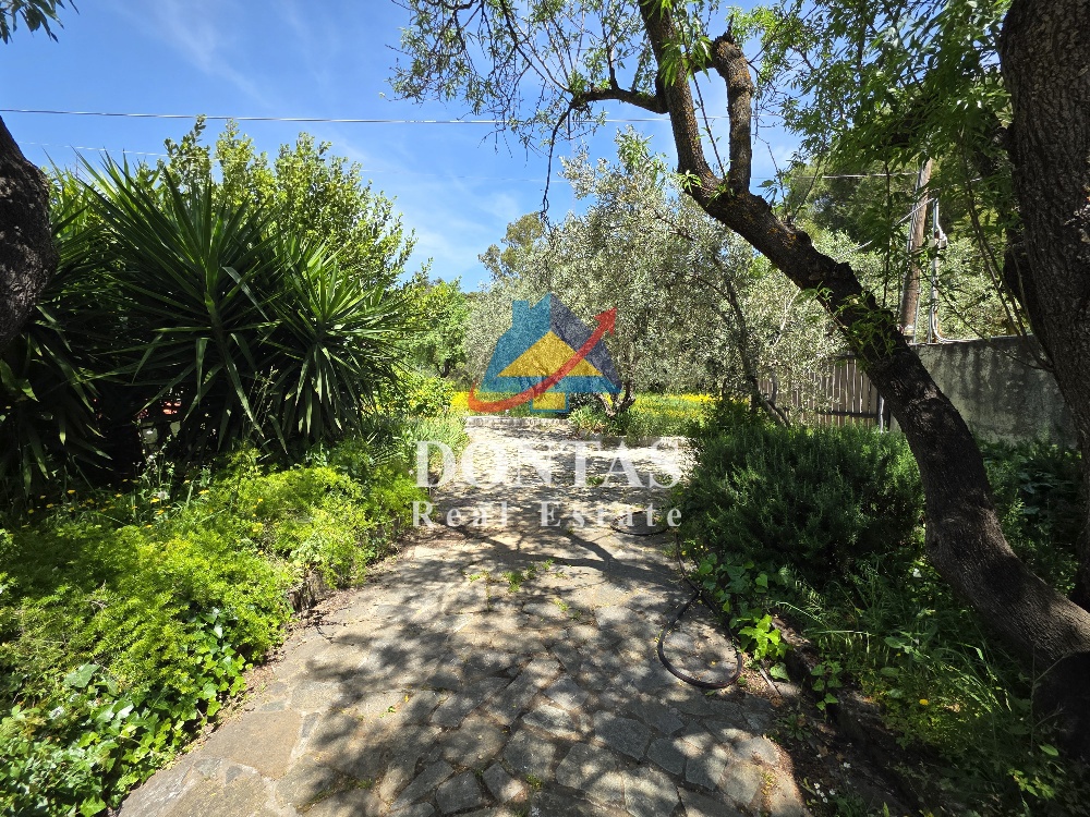 Gallery image 20