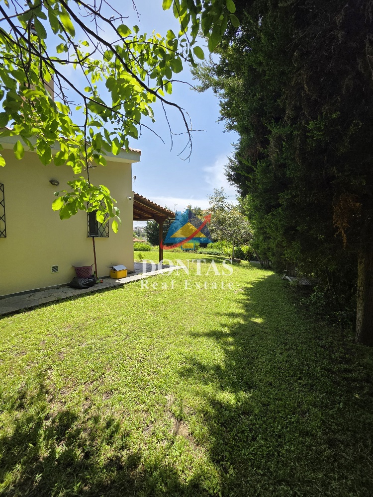 Gallery image 29