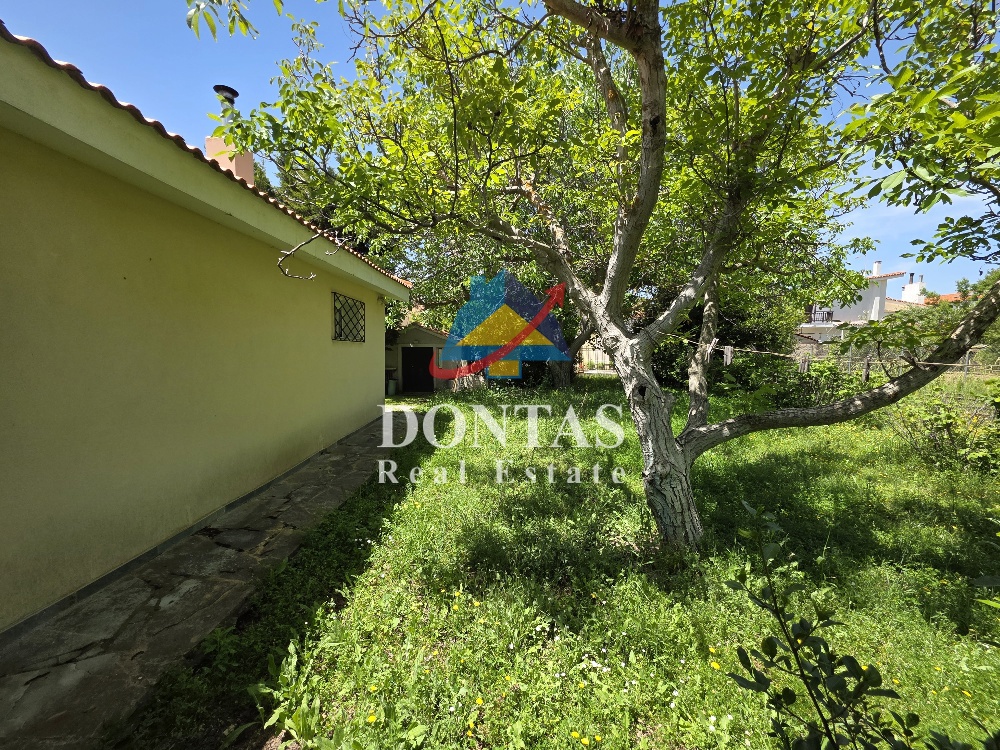 Gallery image 27