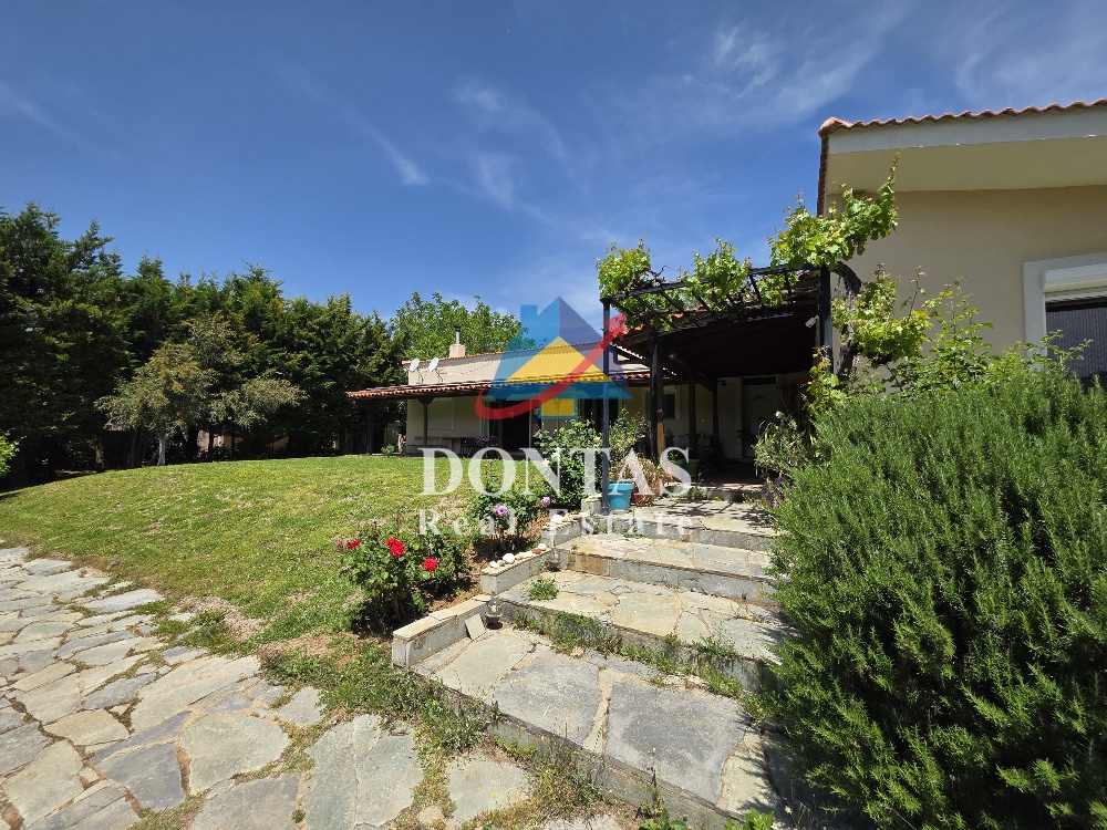 Gallery image 19