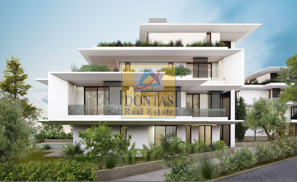 Gallery image 8