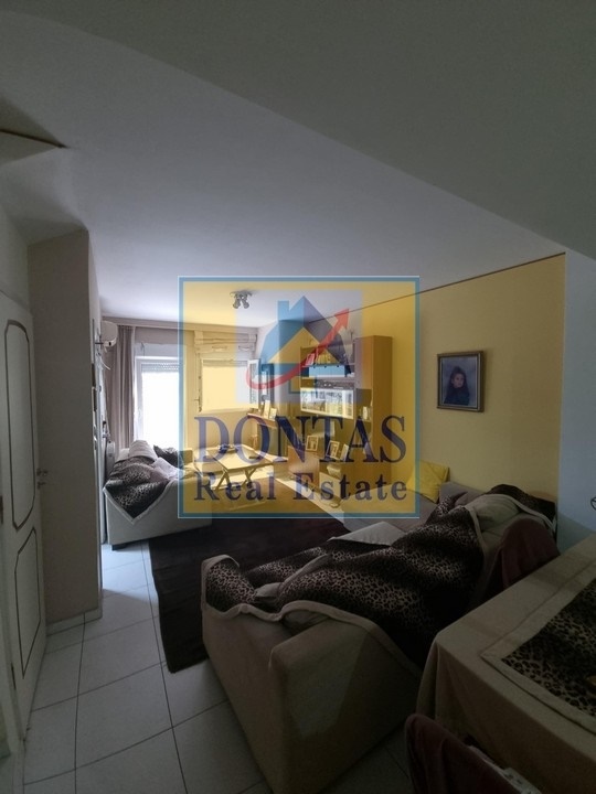 Gallery image 13