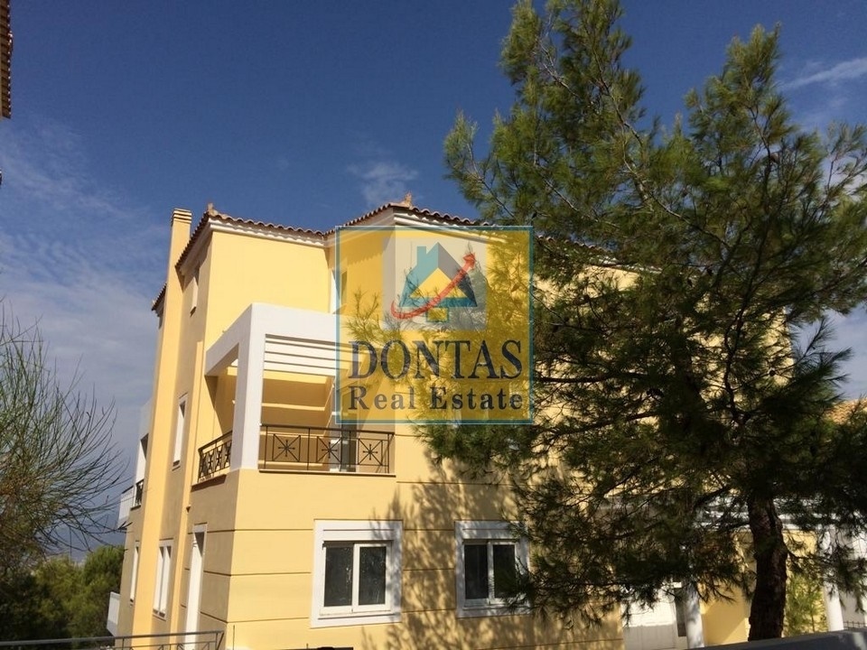 Gallery image 12