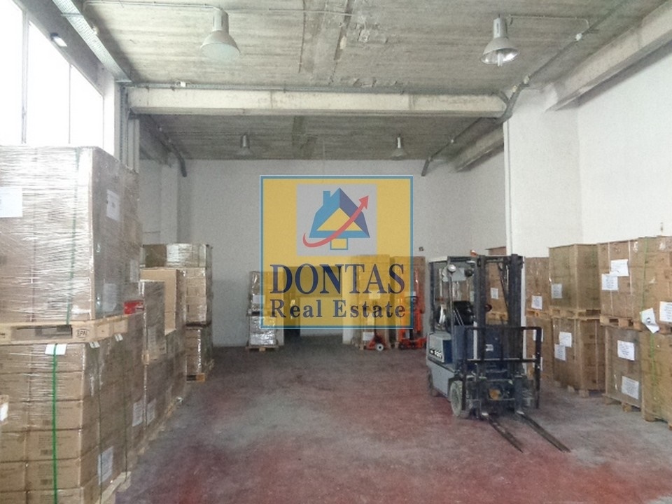 Gallery image 12