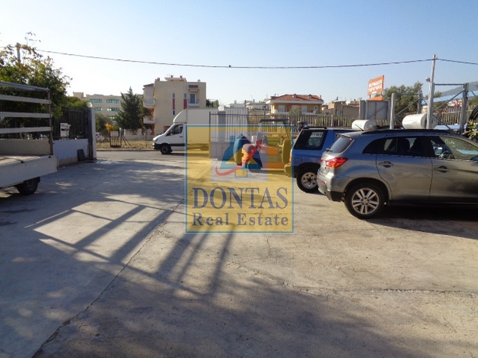 Gallery image 14