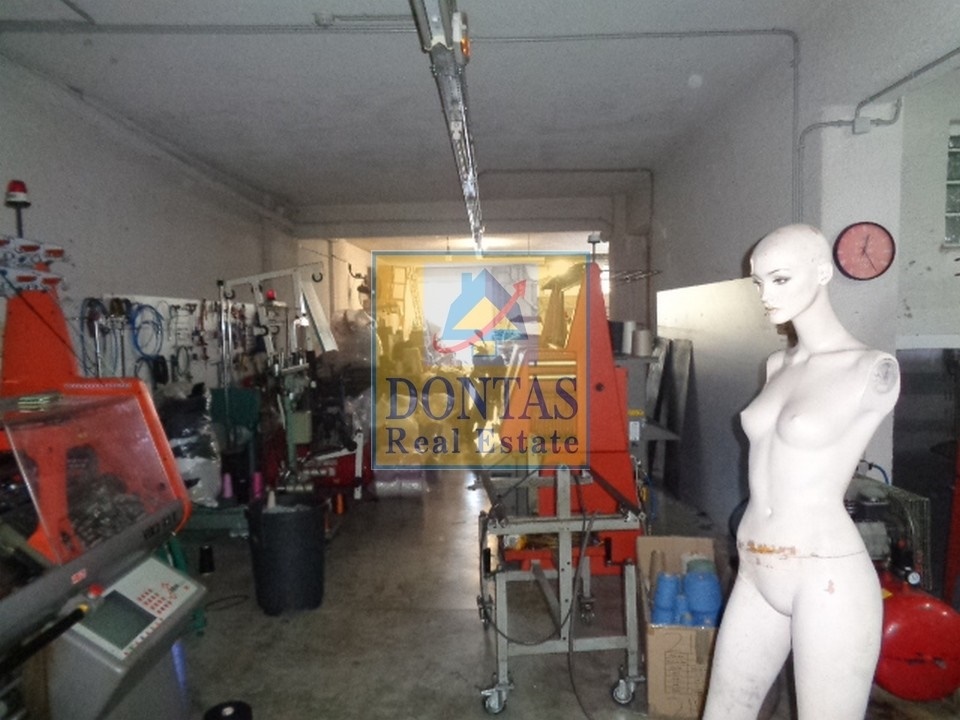 Gallery image 13