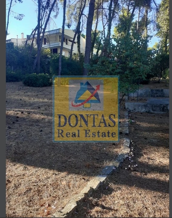 Gallery image 18