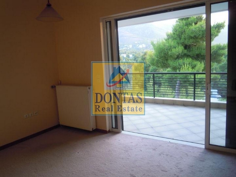 Gallery image 15