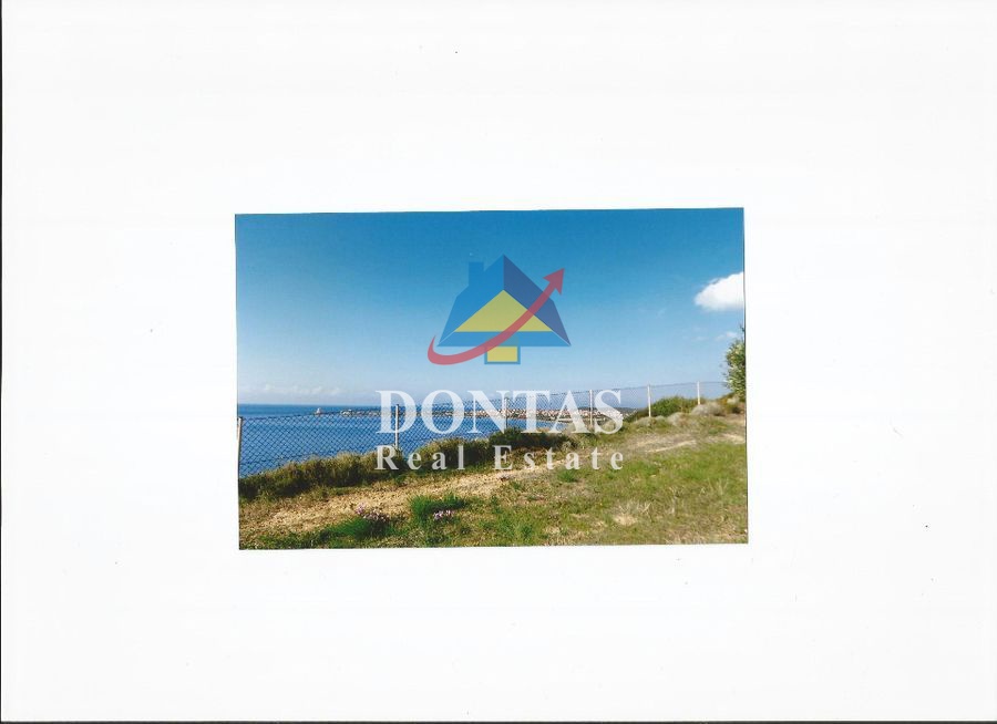 Gallery image 17