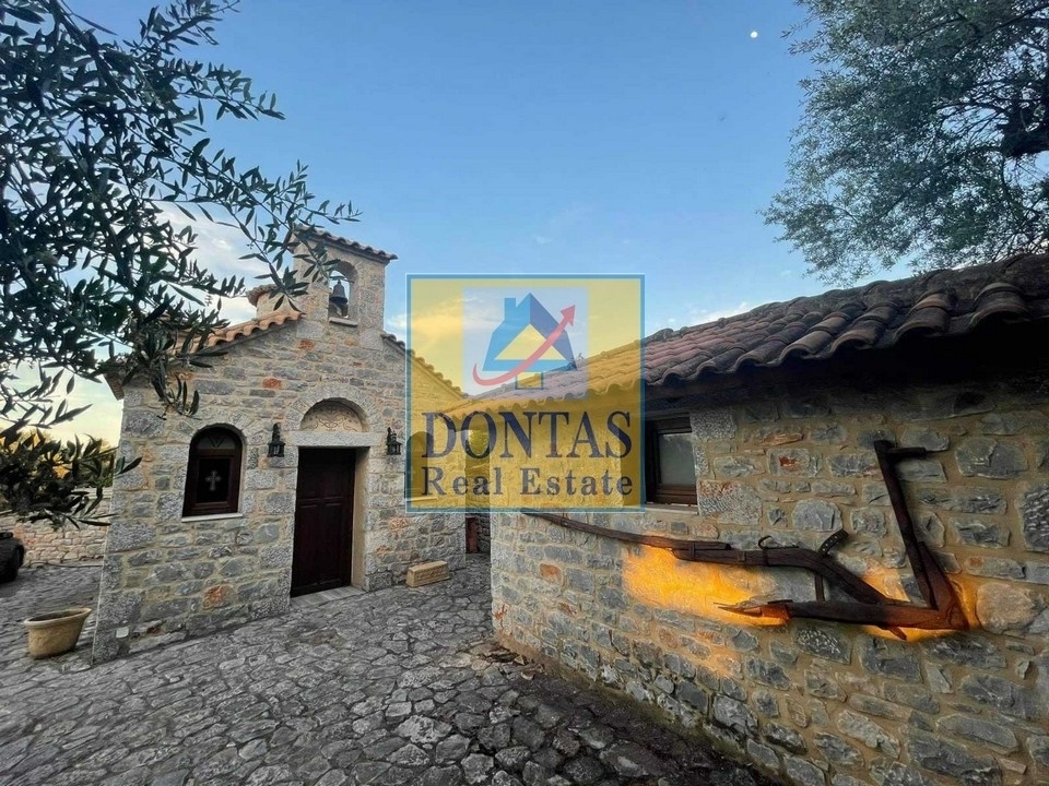 Gallery image 15