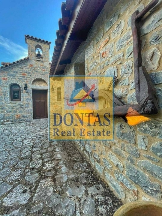 Gallery image 14