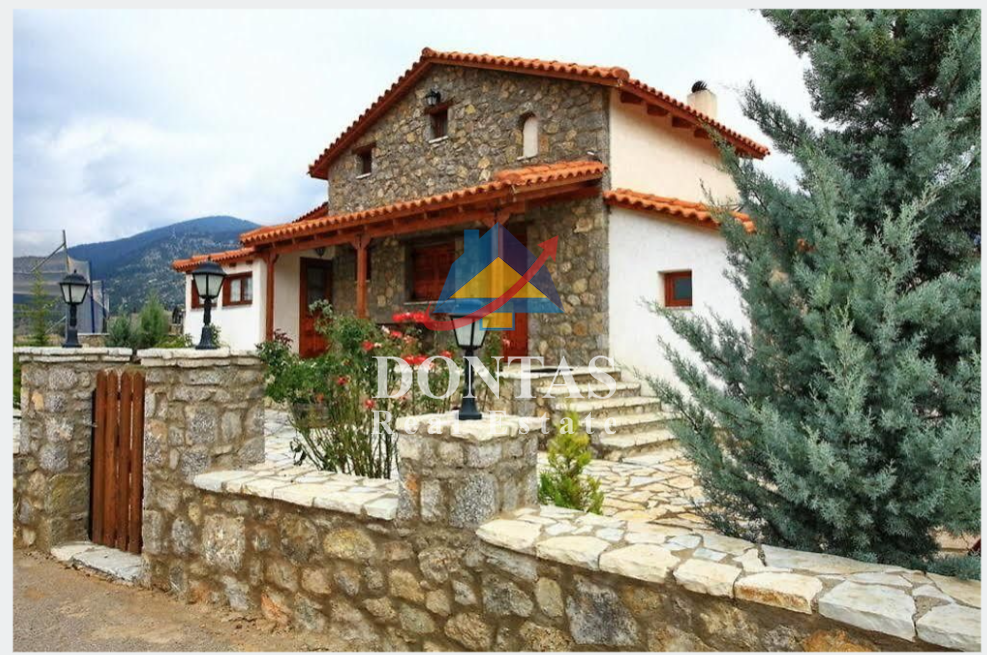 Gallery image 21
