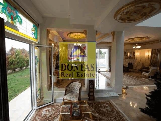 Gallery image 14