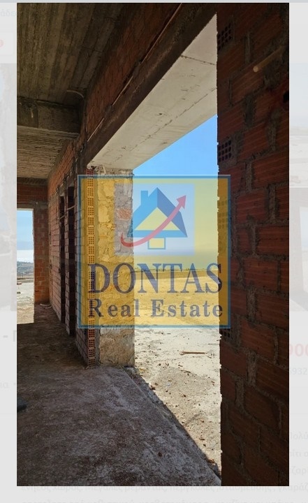 Gallery image 17