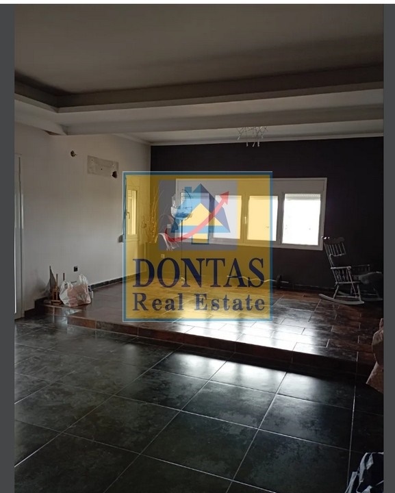 Gallery image 19
